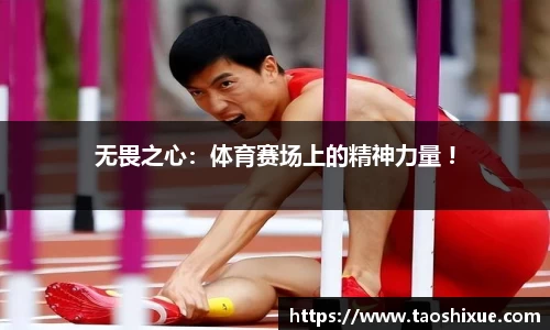 星欧娱乐官网